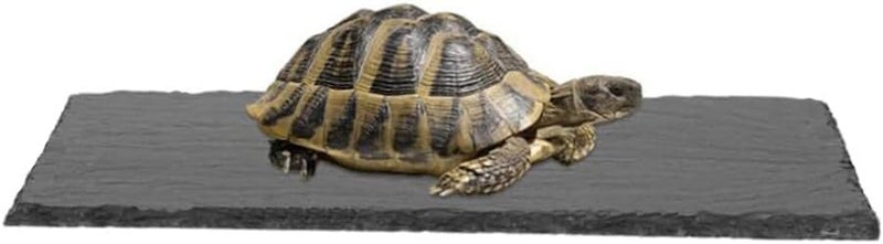 HALONTIN Turtle Basking Platform Rocks Slate Rock for Reptiles Tortoise Food Dish Landscape Habitat Decor Accessories, Basking Rock for Crested Gecko Lizard Bearded Dragon Turtle, Gray - Image 3